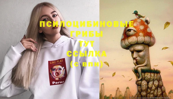 твердый Верхний Тагил